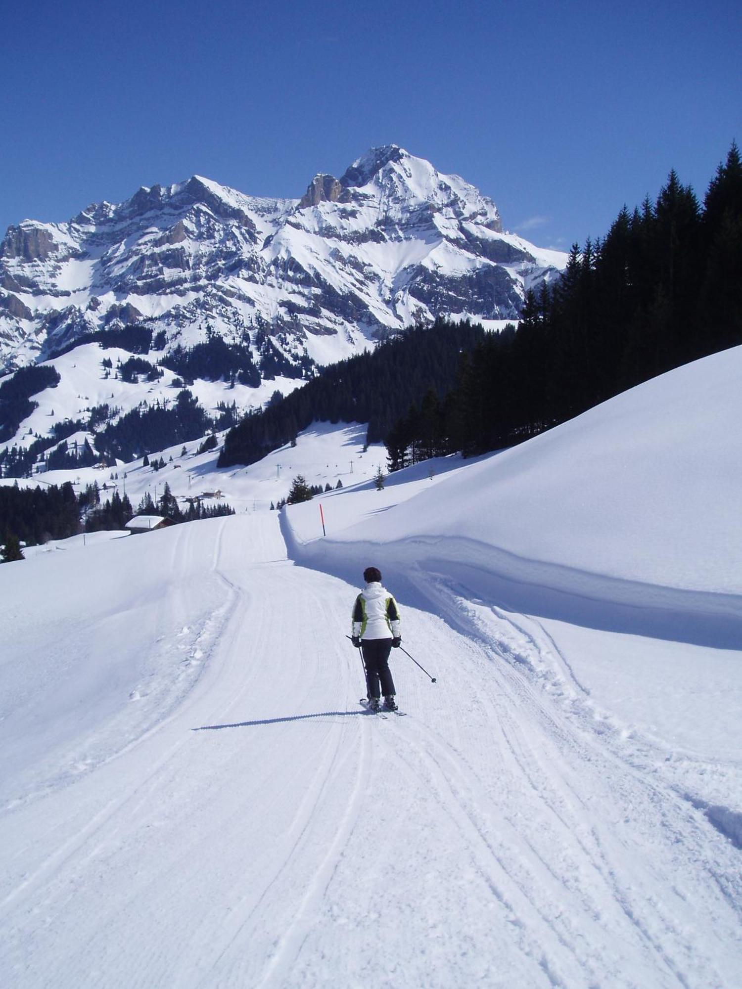 Hotel Des Alpes Adelboden Exterior foto