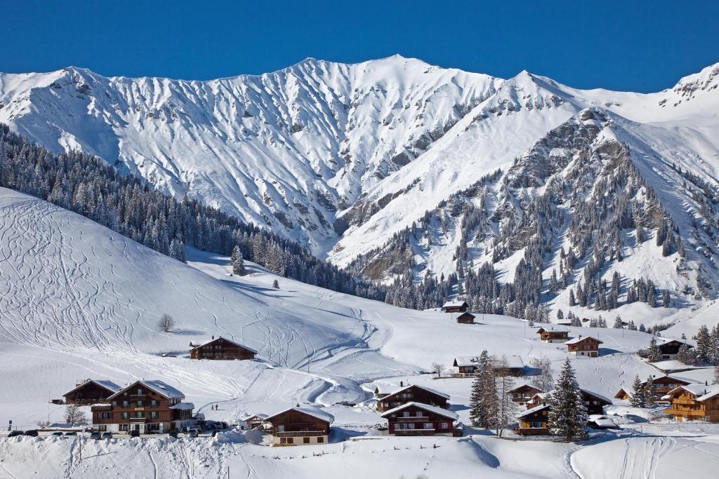 Hotel Des Alpes Adelboden Exterior foto
