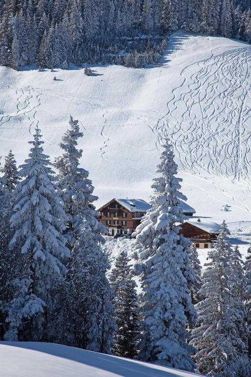 Hotel Des Alpes Adelboden Exterior foto